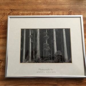 ANSEL ADAMS STUDIO PIcture